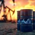 Petroleum Administration and Management